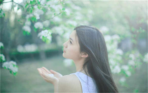 松山验血查男女几周可以验(验血查男女结果图)